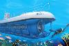 Paquete “Submarino Atlantis”: Hotel + Tour 